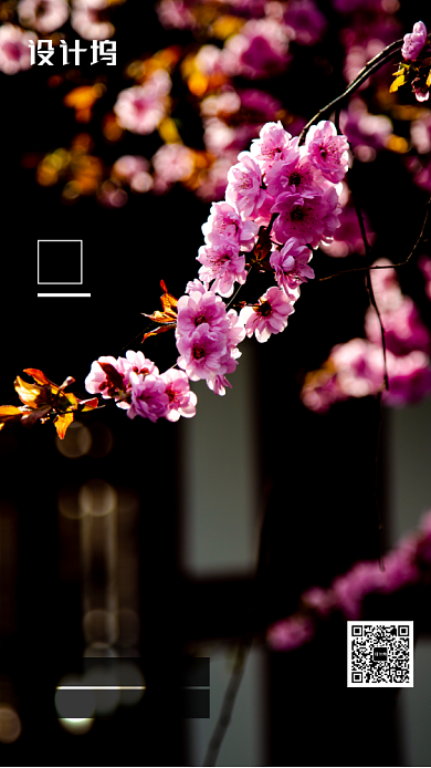 简约大气梅花展宣传手机海报背景