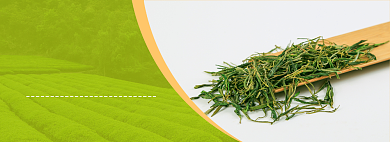 天猫过年不打烊茶叶打折促销淘宝banner背景