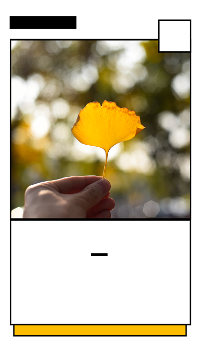 创意摄影时尚日签海报海报背景