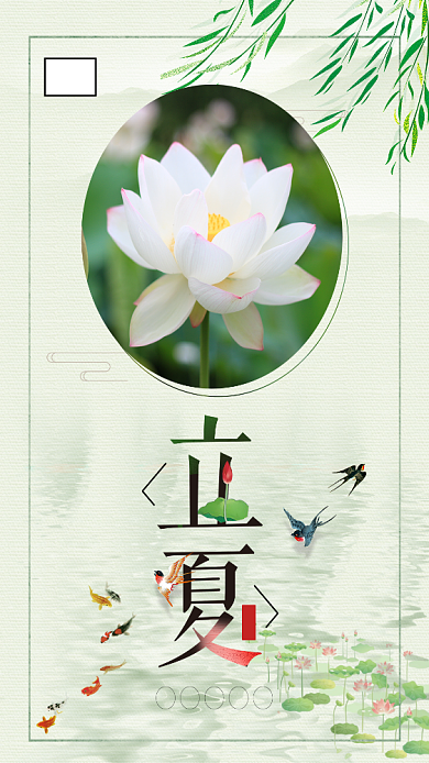 二十四节气立夏荷花手机海报背景
