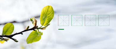 立春时节公众号首图背景