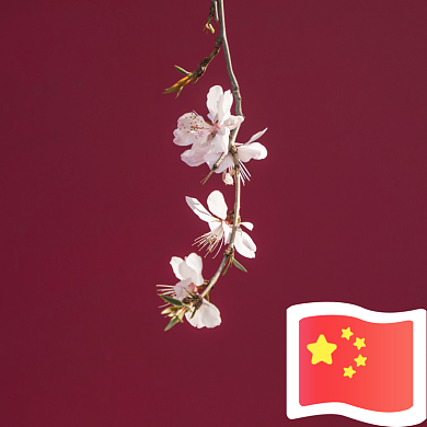 简约创意微信国庆头像淘宝直通车图片背景