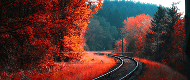 唯美立秋风景首图背景