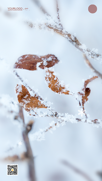 二十四节气手机启动页背景