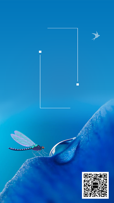 创意蓝色蜻蜓小暑节气海报背景