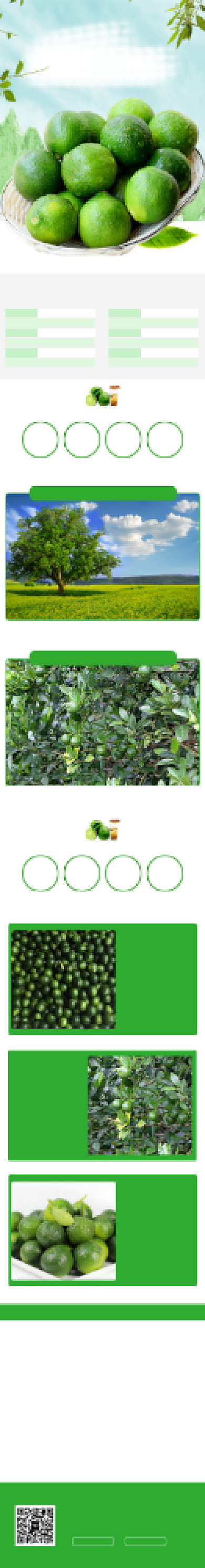 清新海南青金桔电商淘宝详情页背景