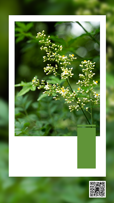 唯美早上打卡日签月签手机海报背景