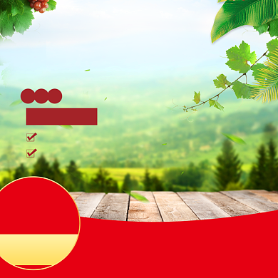 新鲜葡萄促销活动电商淘宝主图背景