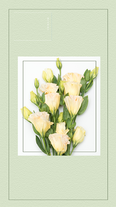 绿色小清新日签早安手机海报背景