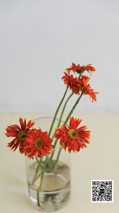 植物花卉早安日签海报背景