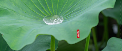 立夏二十四节气微信公众号素材图片背景