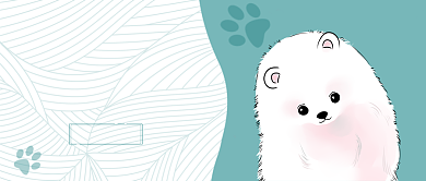 萌宠美容公众号首图背景