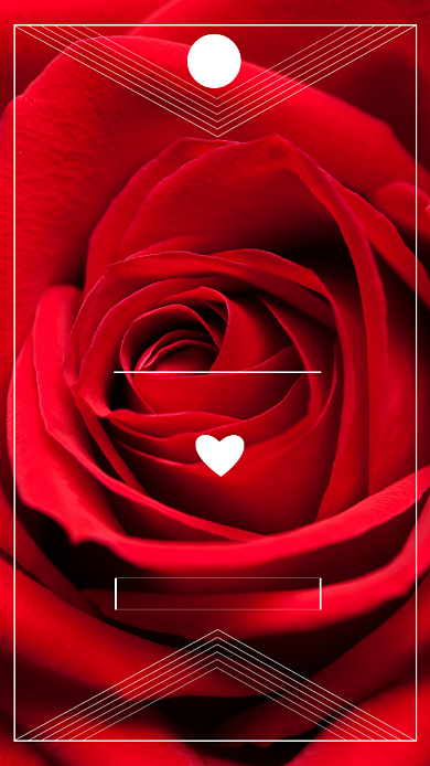 情人节预约订花享受8折优惠推广海报背景