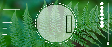 绿色清新大暑公众号首图背景