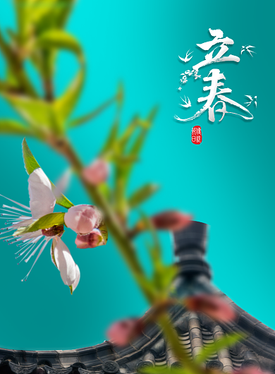 立春中国传统二十四节气海报背景