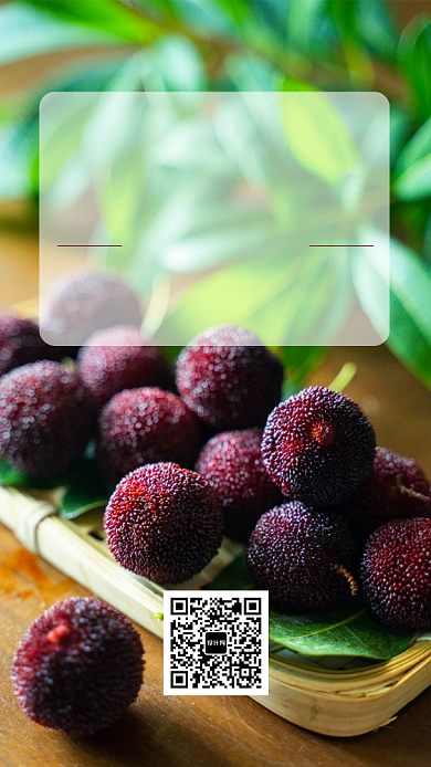 新鲜杨梅火热预定手机海报背景