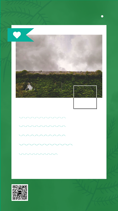 八月你好绿色简约摄影日签海报背景