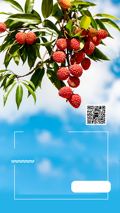 鲜荔枝手机海报背景
