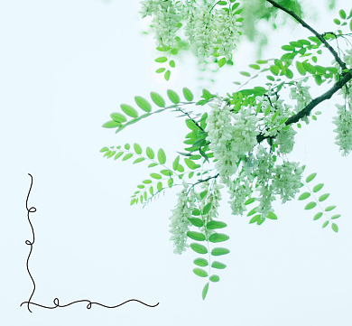 小清新好心情朋友圈封面背景