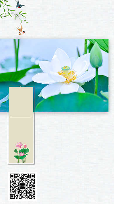 创意时尚节气夏至海报背景