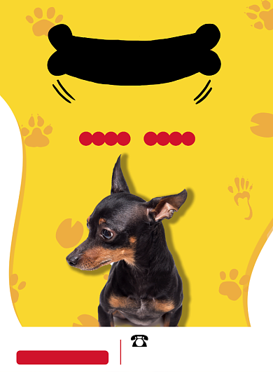 宠物店宣传开业促销印刷宣传海报背景