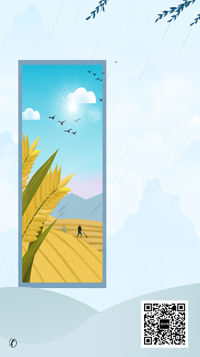 中国传统芒种节气海报背景