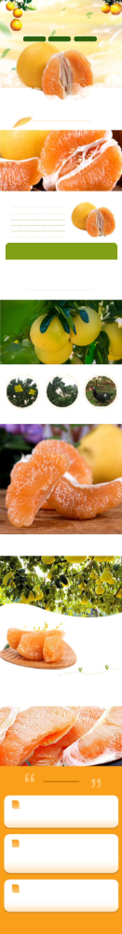 清新风格红心蜜柚详情页背景