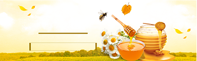 食物蜂蜜海报banner背景