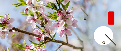简约立春节气公众号首图背景