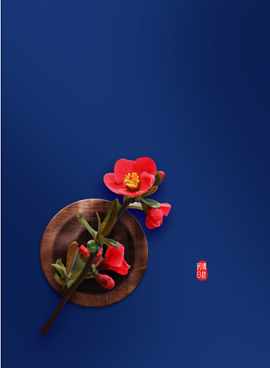 简约大气立春传统节气海报背景