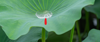 二十四节气之小暑简约公众号首图背景