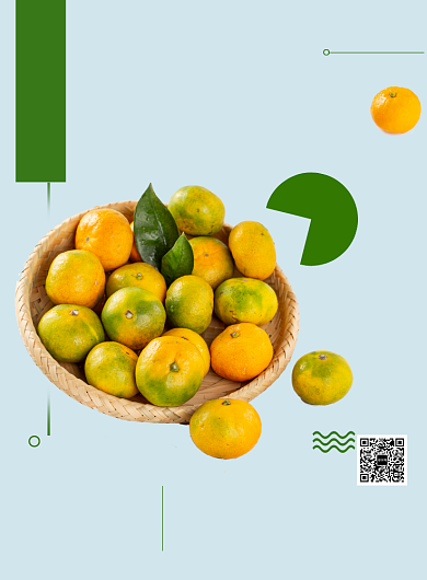 橘子宣传促销海报背景