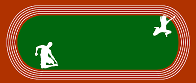 简约第七届世界军人运动会公众号首图背景