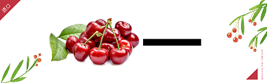 智利车厘子长线淘宝banner背景