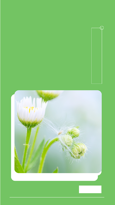 绿色清新每日一签创意简约手机海报背景