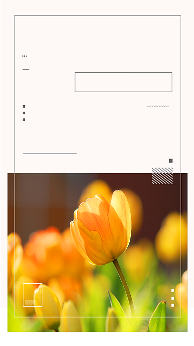 四月你好线条郁金香清新唯美卡通手机海报背景