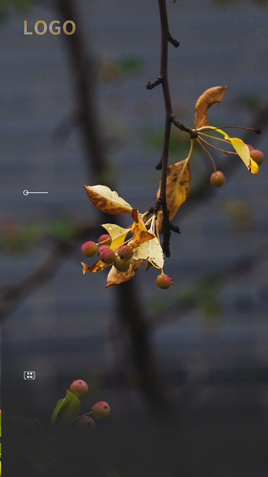 简约24节气白露手机海报背景