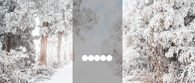 白色唯美雪景自然大雪雾凇寒冷节气大寒微信公众号素材图片背景