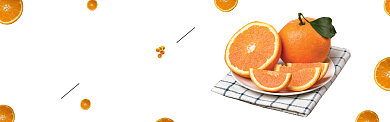 新鲜橙子白色背景简约banner背景