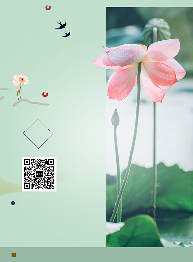 创意时尚摄影夏至节气海报背景