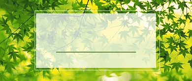 绿色大暑节日首图背景