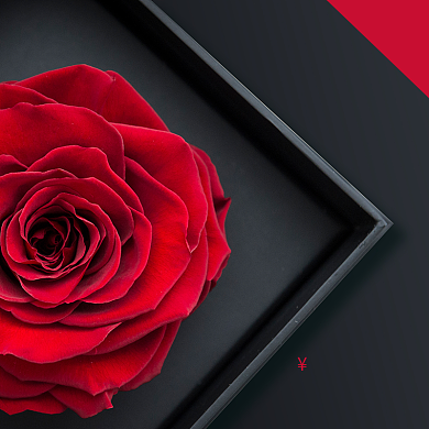 玫瑰花七夕情人节优惠淘宝主图直通车模板背景