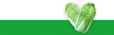 绿色水果蔬菜白采促销banner背景