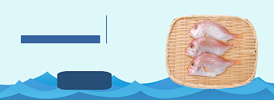 双十一进口海鱼大促淘宝banner背景