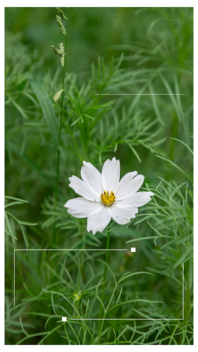 简洁绿色日签海报背景