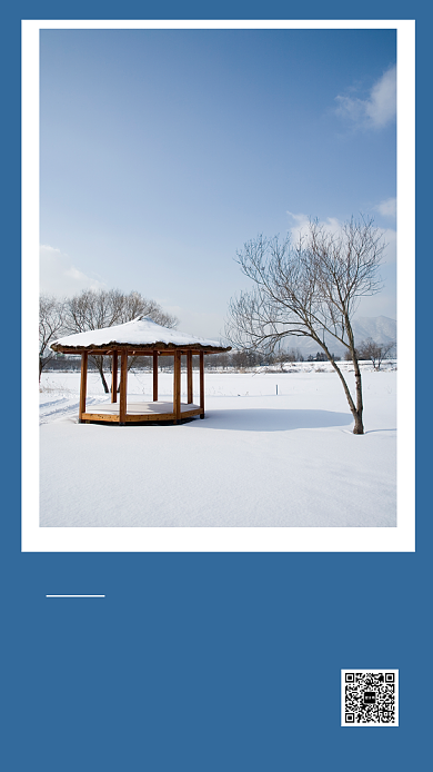 简约清新每日一签宣传手机海报背景