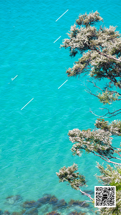 八月你好手机海报背景