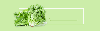 绿色水果蔬菜生菜促销banner背景