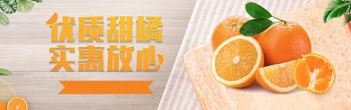 淘宝电商橙子橘子促销上新banner背景