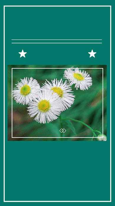 八月你好简约祝福日签手机海报背景